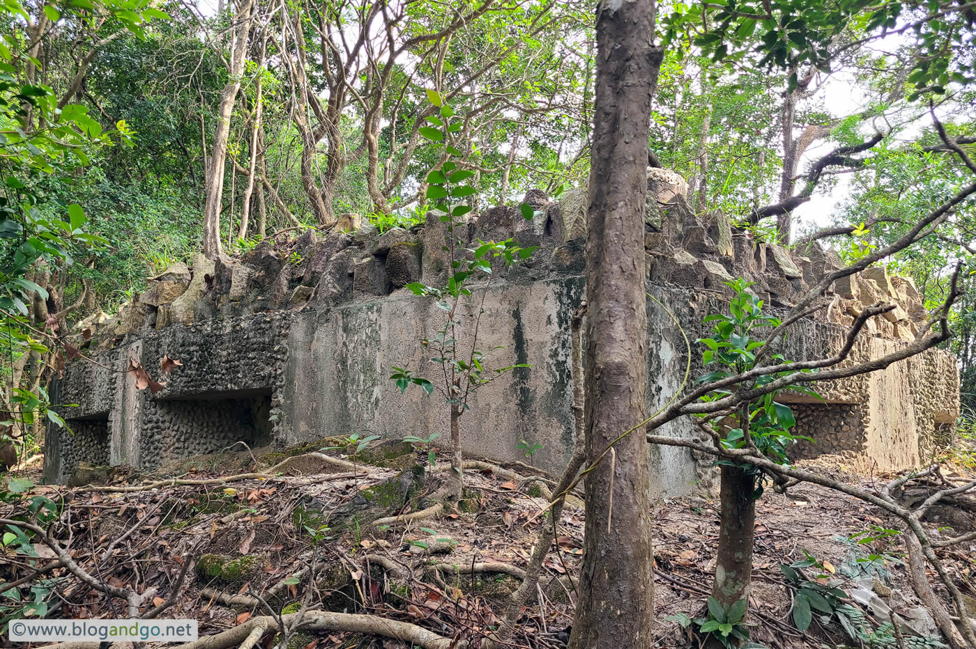 War Time Trail - WNC Gap Station 5 - PB2 Embrasures